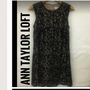 LOFT Ann Taylor Black Lace Midi Dress Size 2